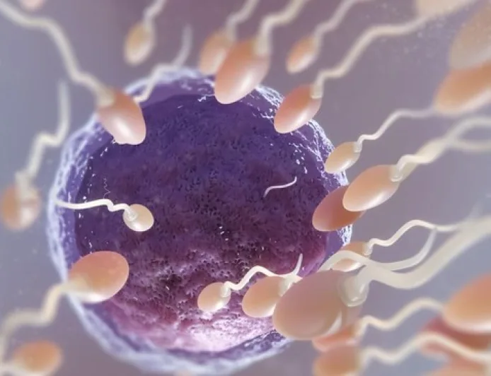 Sering Ejakulasi Tingkatkan Kualitas Sperma, Studi Oxford Ungkap Fakta Baru