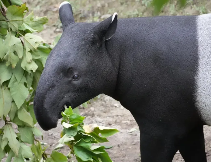 27 April Memperingati Hari Apa? Ini 5 Peringatan Penting yang Wajib Diketahui