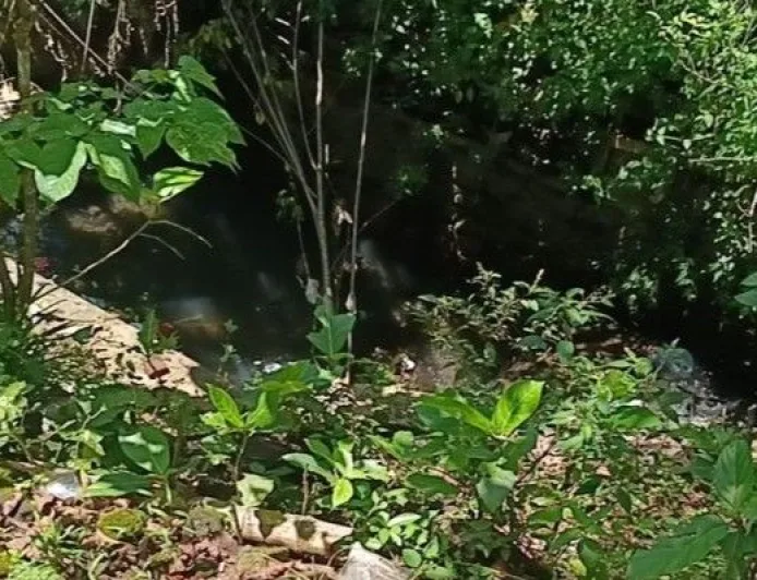 Hujan Deras Picu Longsor di Jember: Fondasi Rumah dan Irigasi Rusak Parah