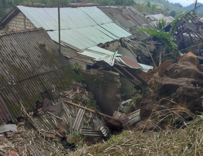 BNPB Catat Cuaca Ekstrem di Jawa Timur Sebabkan Banjir dan Pohon Tumbang