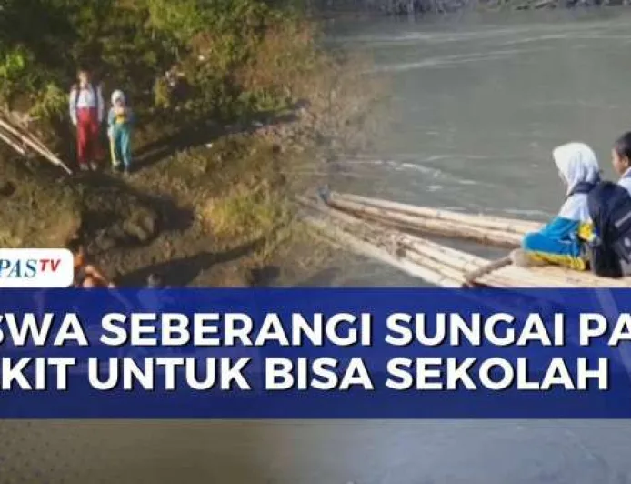 Jembatan Putus di Jember, Siswa Nekat Seberangi Sungai Demi Sekolah