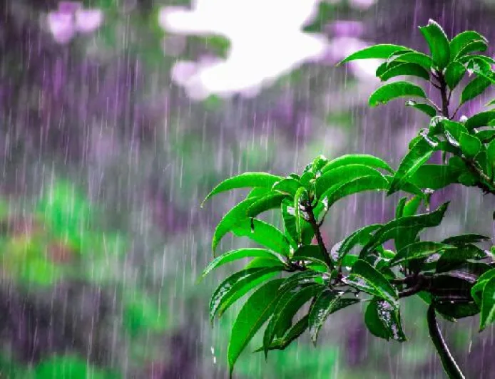 Longsor di Sleman Akibat Hujan Lebat, Warga Lereng Merapi Waspada