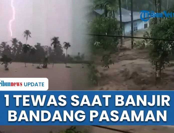 Banjir Bandang Pasaman: 1 Tewas dan 1 Hilang Saat Keluar Mobil