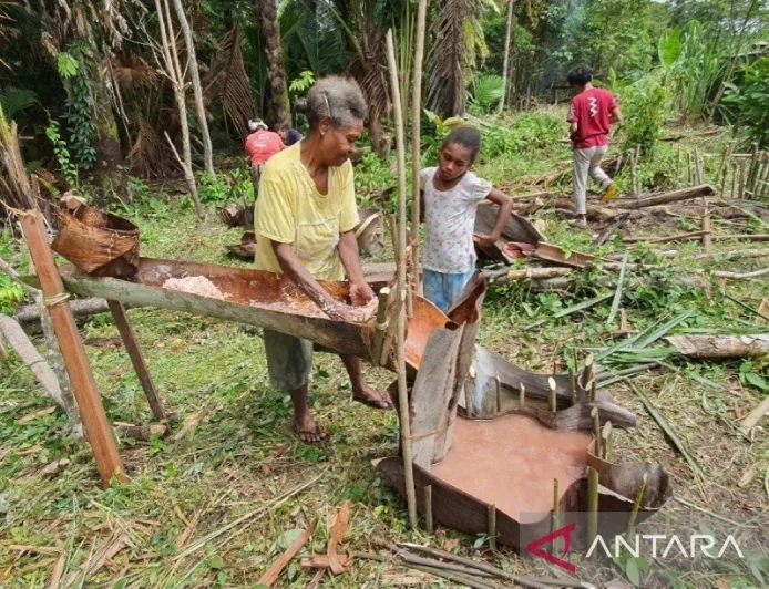 Festival Sagu Papua Dorong Percepatan Sertifikasi dan Perlindungan Komoditas Lokal