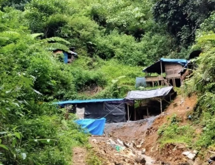 Pencabutan IUP di Kawasan Hutan: Penegakan Hukum dan Pemulihan Lingkungan Jadi Kunci