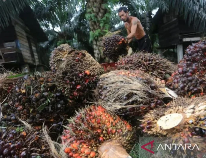 Penelitian Magister Sosiologi Ungkap Kunci Stabilitas Sosial di Industri Sawit Sambas