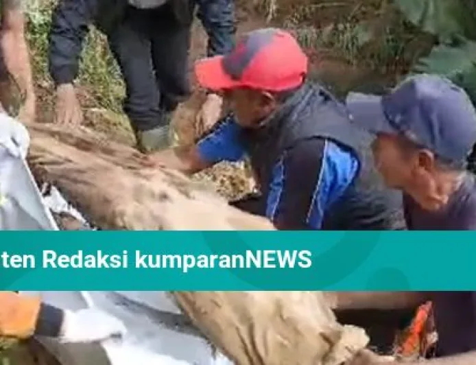 Longsor Pemakaman di Cianjur: Jenazah Muncul ke Permukaan dan Jalan Tertutup
