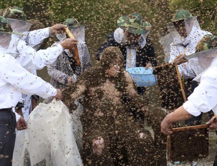 Kecelakaan Truk Angkut Jutaan Lebah di Tennessee Sebabkan Jalan Tol Lumpuh