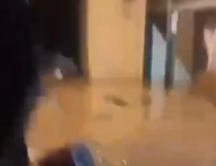 Banjir Melanda 6 Desa di Cigudeg Bogor Akibat Hujan Deras, Warga Terpaksa Mengungsi