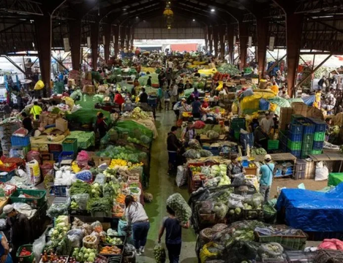 Sayur dan Buah Mengandung Mikroplastik Tertinggi: Apel dan Wortel Jadi Sorotan