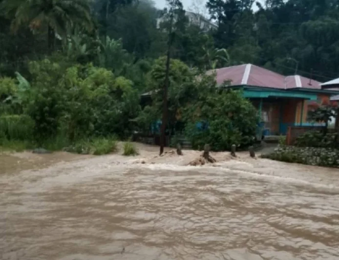 Banjir Besar Melanda 4 Daerah di Sumut, Ini Dampak dan Penyebabnya