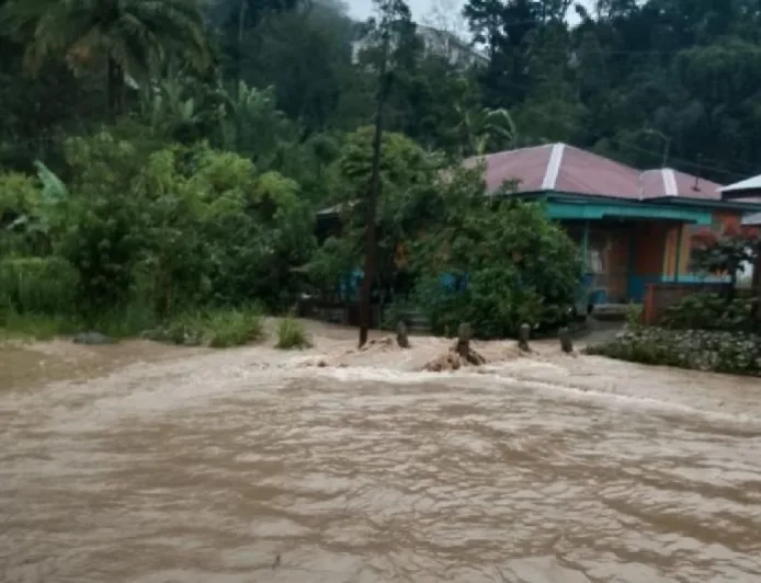 Banjir Melanda 4 Daerah di Sumut: Dampak dan Penanganan Terbaru