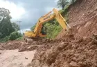 Pemprov Sumbar Kerahkan Ekskavator Atasi Longsor di Jalan Palembayan