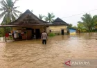 188 Rumah Terendam Banjir di Kolaka Akibat Luapan Sungai Konaweha