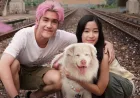 Film Gohan: Kisah Persahabatan Anjing dan Manusia yang Mengharukan Tayang 14 Mei