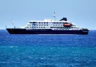 Kapal Pesiar Bisa jadi Sarang Wabah Penyakit, Ini Alasan Kenapa Virus Mudah Menyebar di Laut