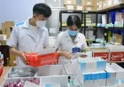 Peraturan baru tentang peresepan dan pemberian obat: Mengobati berbagai 'penyakit'
