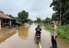 Hujan Deras Landa Sanggau, Banjir Rendam Permukiman di Toba