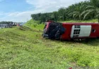 Nahas! Bus Halmahera kecelakaan di Tol JMKT, empat orang meninggal