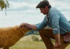 Sinopsis Film The Sheep Detectives, Kisah Para Domba Selidiki Kasus Pembunuhan