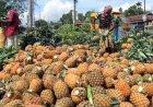 Banyak Dijual di Jalan, Buah Ini Ternyata Penangkal Asam Urat