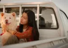 Sinopsis Film 'Gohan', Kisah Anjing Jalanan yang Mengubah Hidup Banyak Orang