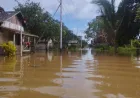 Luapan Sungai Tualan sebabkan banjir dan longsor di wilayah utara Kotim