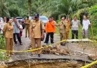Bupati Landak Karolin Prioritaskan Perbaikan Jalan Amblas Akibat Banjir di Jelimpo