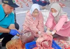 Pemeriksaan Ketat Hewan Kurban Malang 2026: Pastikan Daging Aman dan Sehat