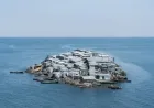 Pulau Migingo, Pulau Terpadat Dunia dengan Bar dan Rumah Bordil Unik