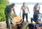 Mayat Perempuan Ditemukan di Muara Wai Ruhu Bawah Jembatan Merah Putih, Polisi Selidiki Penyebab Kematian
