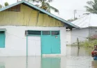 Banjir Gorontalo Terjang 10 Kelurahan, 2.692 Jiwa Terdampak Langsung