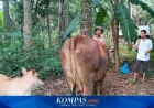 Bantuan Daging Meugang dari Presiden Dinanti Penyintas Banjir Aceh untuk Ringankan Beban