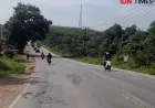 6 Fakta Jalintim Sumsel: Jalan Bergelombang Picu Kecelakaan Maut yang Memprihatinkan