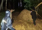 Longsor di Kabupaten Tapsel: Ibu dan Anak Dilaporkan Hilang Tertimbun Material Tanah