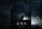 Film Horor Korea Salmokji Pecahkan Rekor dengan 3,17 Juta Penonton