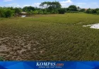 Banjir Lumajang Sebabkan 7 Hektar Sawah Gagal Panen dan Ribuan Rumah Terendam