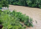 Perubahan cuaca sulit diprediksi, Kabupaten Malinau waspada banjir