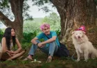 Sinopsis Film Gohan: Kisah Anjing Liar yang Menginspirasi Banyak Orang