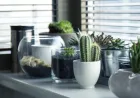 9 Benda Pembawa Sial yang Sebaiknya Tidak Disimpan di Rumah Menurut Feng Shui