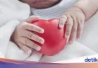 Penyakit Jantung Bawaan pada Anak, Kondisi Serius yang Sering Luput dari Orang Tua