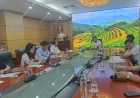 Wakil Menteri Pertanian dan Pembangunan Pedesaan: Mempercepat prosedur impor vaksin darurat untuk mencegah dan mengendalikan penyakit mulut dan kuku (SAT 1).