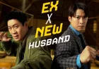 Sinopsis Husbands in Action: Misi Penyelamatan Mantan Istri yang Penuh Kekacauan