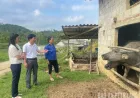 Pencegahan jarak jauh penyakit mulut dan kuku