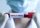 Penyakit ini dapat membunuh 9 dari 10 orang dan merupakan mimpi buruk global.