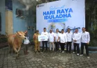 Pelindo Salurkan 127 Hewan Kurban, Perkuat Kepedulian Sosial di Wilayah Pelabuhan