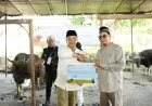 Sucofindo tegaskan kepedulian sosial BUMN lewat kurban