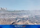 Kebakaran Kayu Sisa Banjir di Aceh Utara Meluas ke Tiga Desa, Warga Kian Cemas