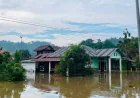 Banjir Rendam Puluhan Rumah di Poso, GMKI Tentena Desak PT Poso Energy Bertanggung Jawab