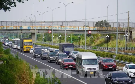 Kecelakaan Bus dan Truk Kontainer di Jalan Tol Dong Nai Selamatkan 21 Korban
